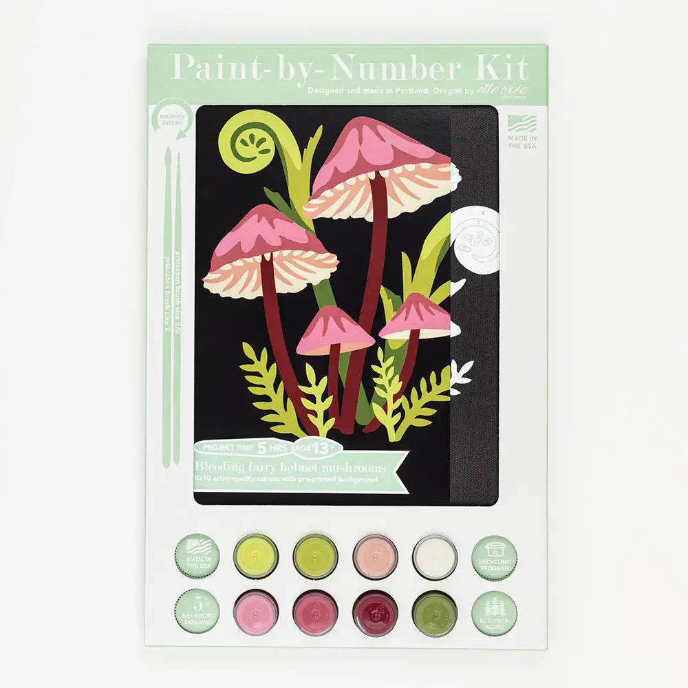 Paint By Number Kit