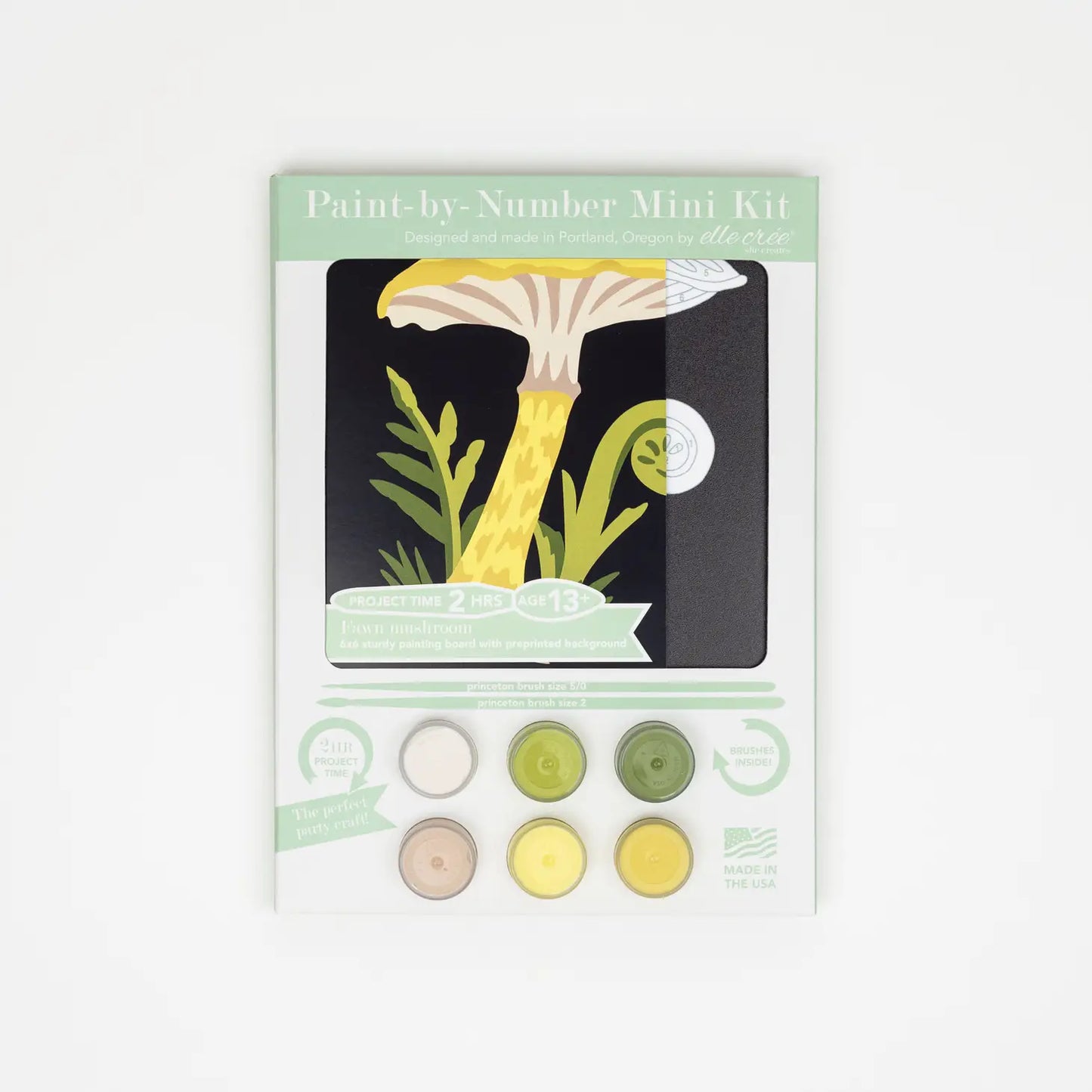 Mini Paint By Number Kit