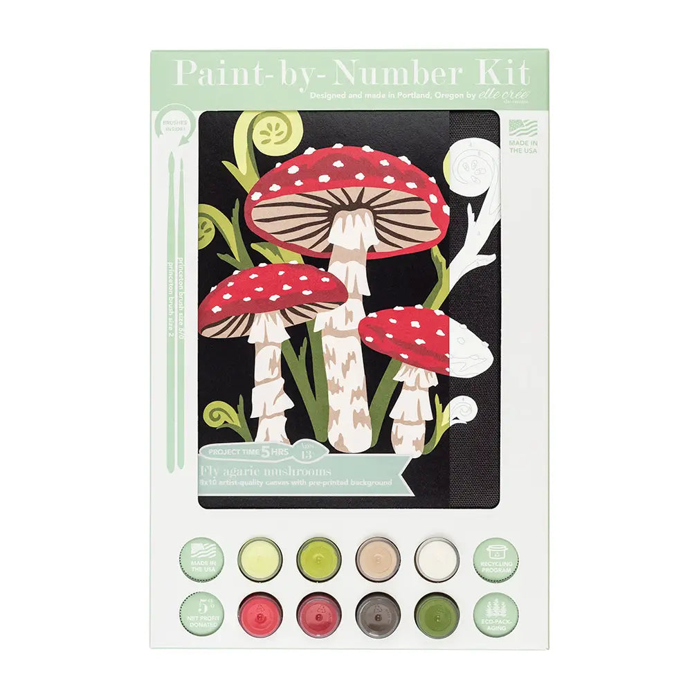 Paint By Number Kit