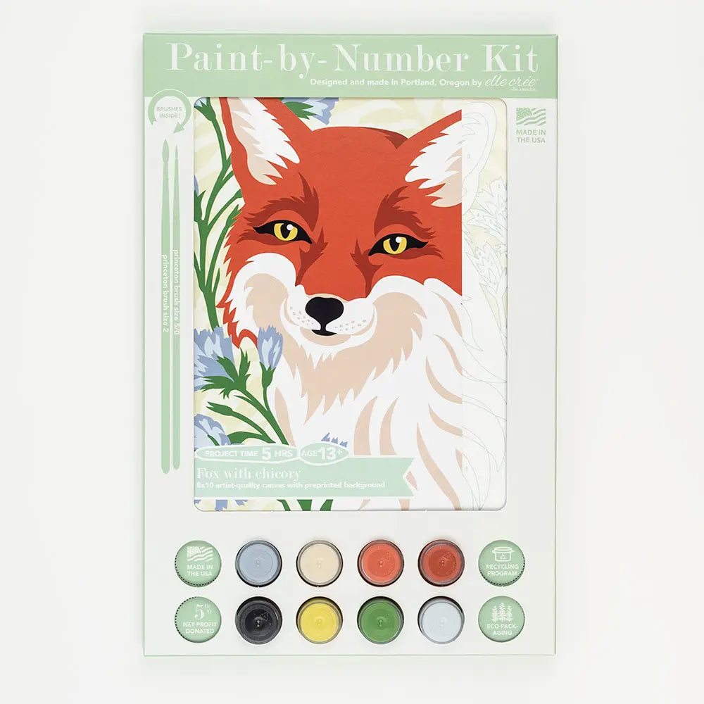 Paint By Number Kit
