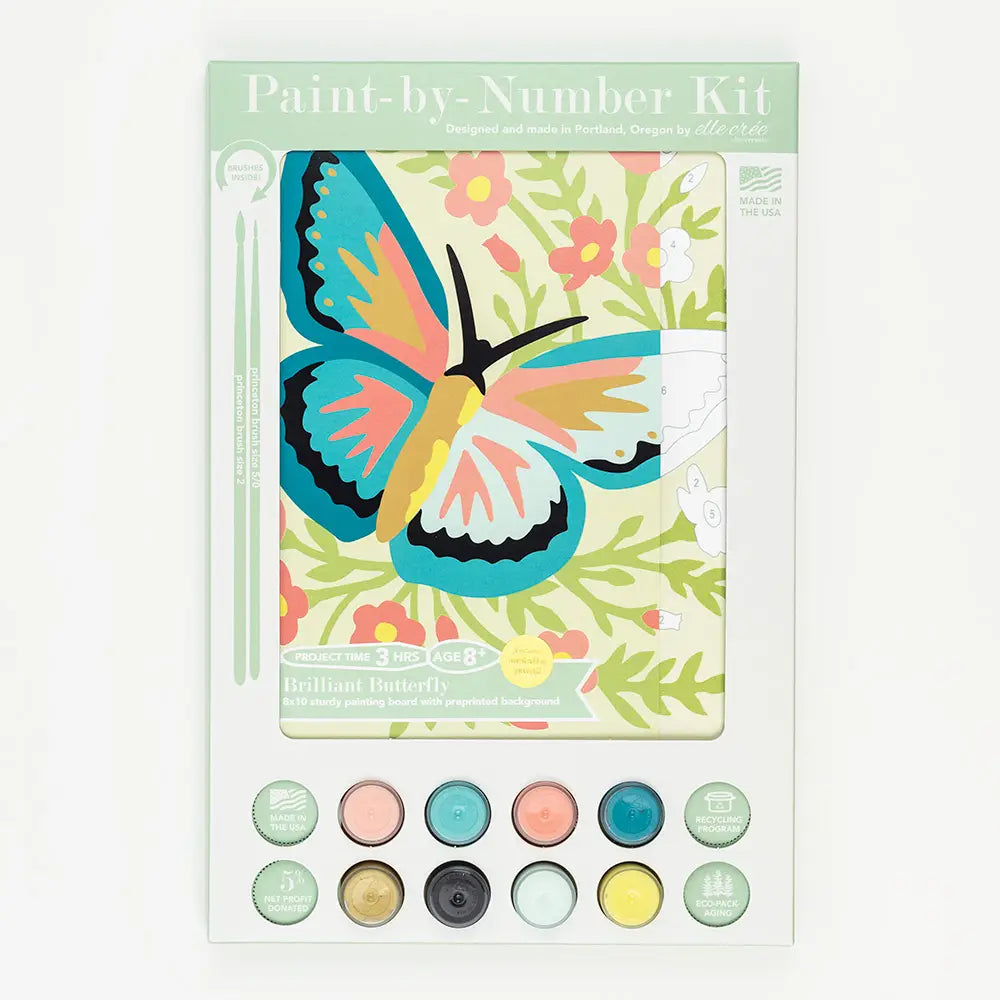 Paint By Number Kit