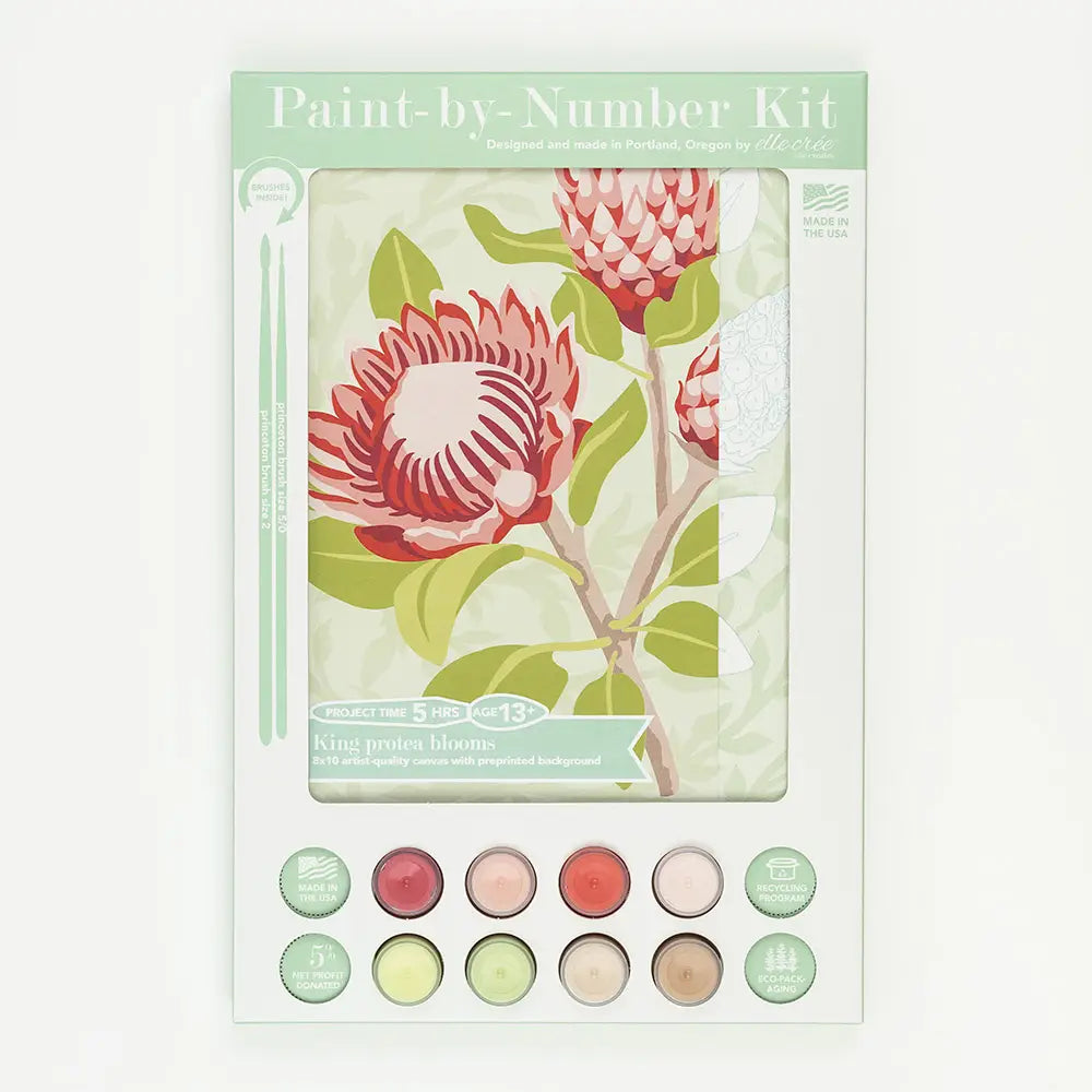 Paint By Number Kit