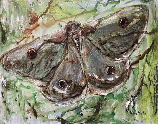 11x14 Moth