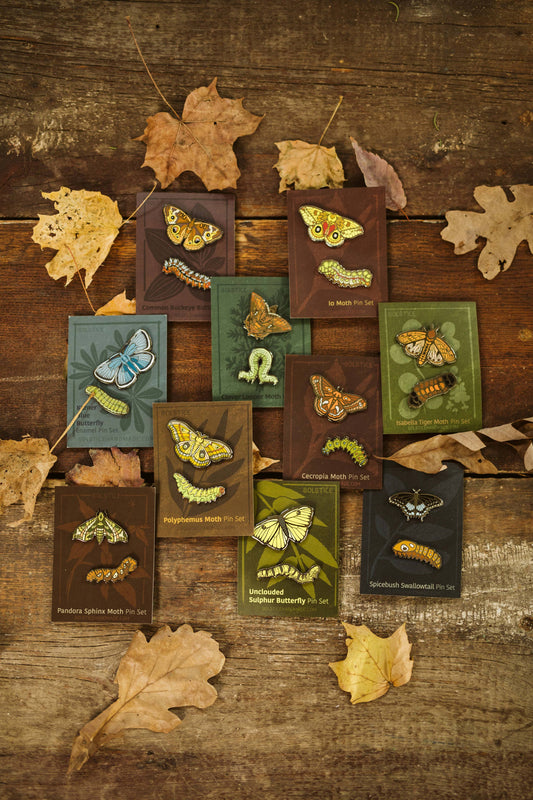 Pin Sets | Butterflies + Moths