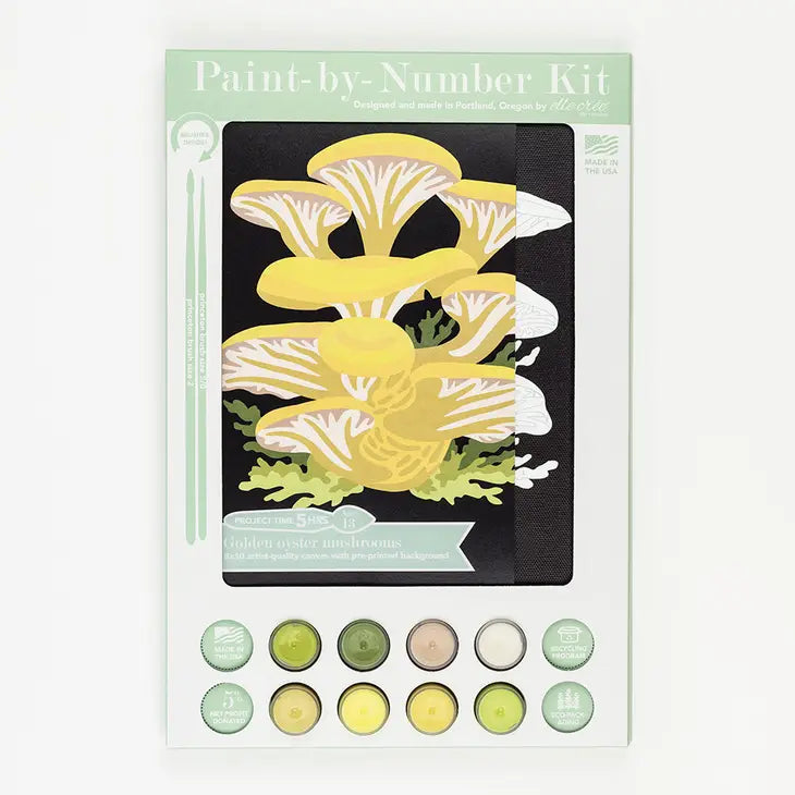 Paint By Number Kit