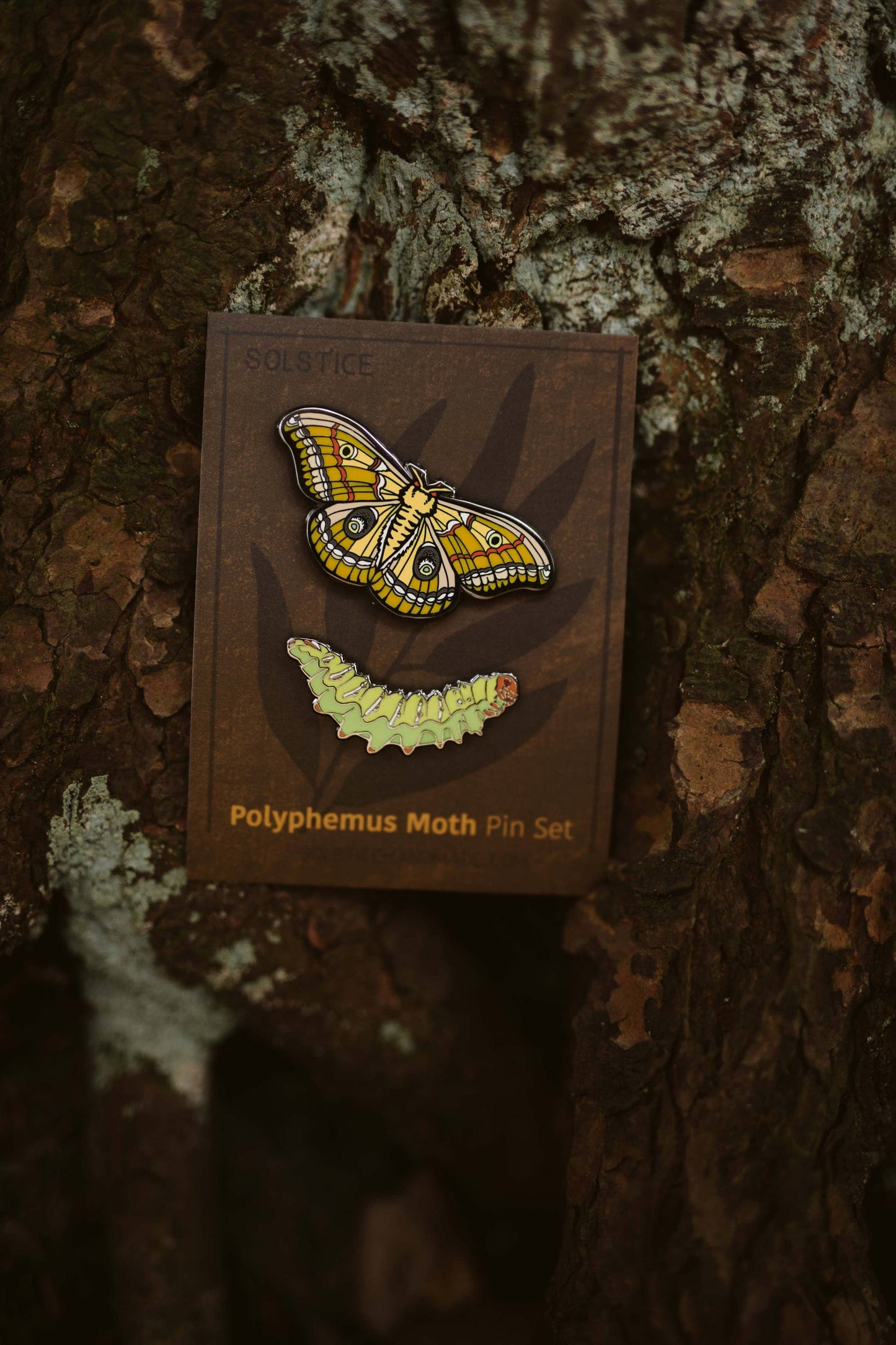 Pin Sets | Butterflies + Moths