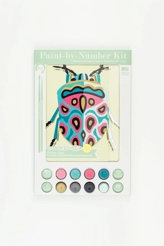 Mini Paint By Number Kit